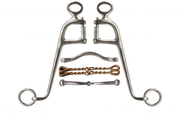 46102: Showman ® stainless steel Walking horse bit with 8" cheeks Bits Showman   