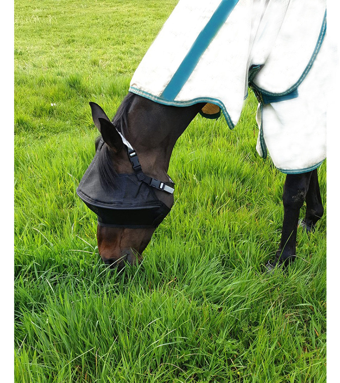 Equivizor™ Solar Veil Fly Mask