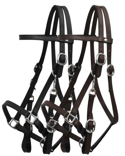 5005: Leather halter bridle combination with 7' leather split reins Halter Showman Saddles and Tack   