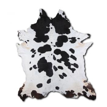 5098: ASSORTED CUT QUALITY LG/XL Brazilian ASSORTED cowhide rugs Primary Showman Saddles and Tack   