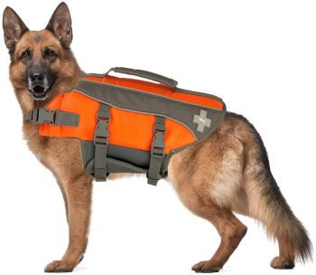 5231789: - WATER SAFETY: Improves a dog’s safety in and around water; Reflective strips & bright c Primary Showman Saddles and Tack   