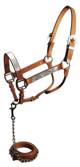 5783: Horse size show halter with matching lead Show Halter Showman Saddles and Tack   