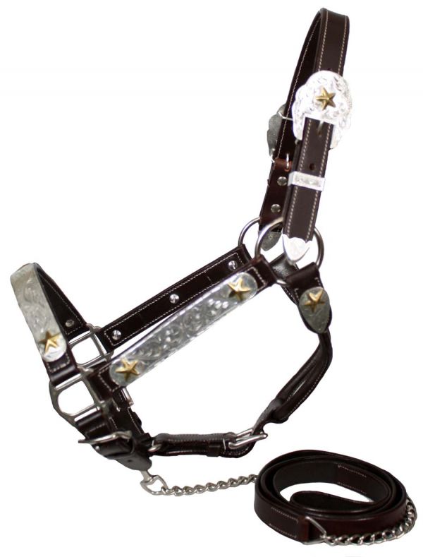 5784: Showman leather double stitched silver and gold star horse size show halter with 1" X 6' lea Show Halter Showman   