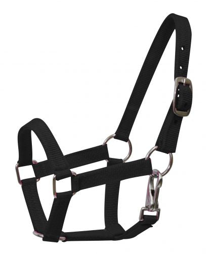 5946M: Nylon halter with nickel plated hardware and throat latch Nylon Halter Showman Saddles and Tack   