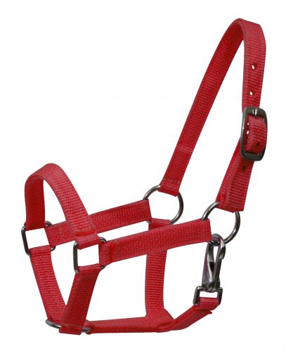5946M: Nylon halter with nickel plated hardware and throat latch Nylon Halter Showman Saddles and Tack   