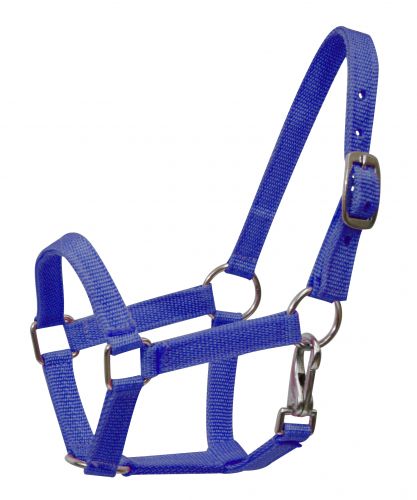 5946P: Nylon halter with nickel plated hardware and throat latch Nylon Halter Showman Saddles and Tack   