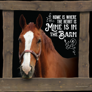 61573: Mine is in the Barn Die Cut Sign 14" x 14" Primary Showman Saddles and Tack   