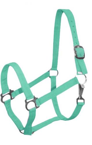 628X: Double Ply Horse size turnout nylon halter with snap Nylon Halter Showman Saddles and Tack   