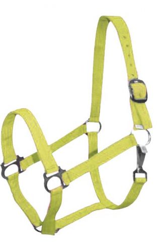 628X: Double Ply Horse size turnout nylon halter with snap Nylon Halter Showman Saddles and Tack   