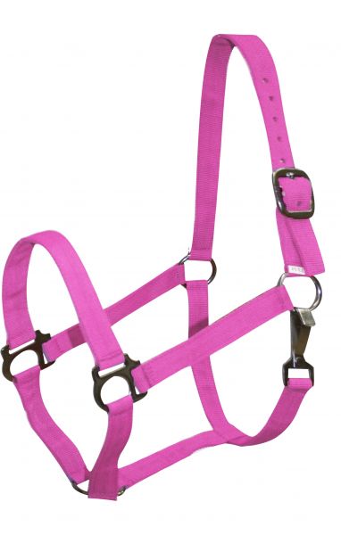 628X: Double Ply Horse size turnout nylon halter with snap Nylon Halter Showman Saddles and Tack   