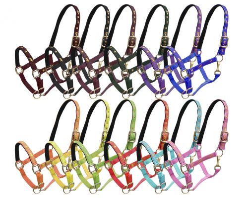6550HX: Package of 12 Assorted neoprene lined nylon horse size halters with running horse design l Nylon Halter Showman Saddles and Tack   