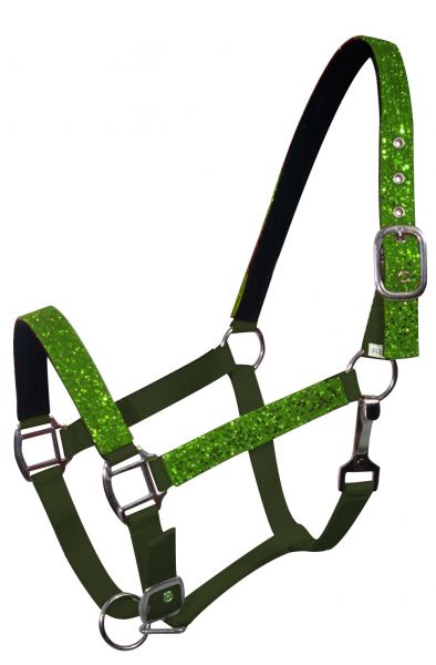 6552: Average horse size nylon halter with neoprene lined nose and crown Nylon Halter Showman Saddles and Tack   