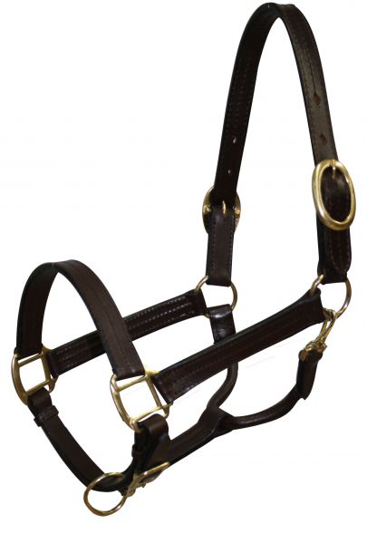 6620C: Cobb size leather halter with brass hardware Leather Halter Showman Saddles and Tack   