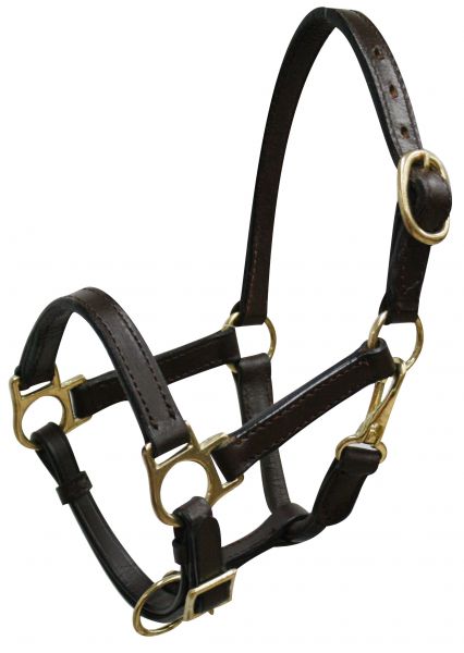 6620W: Weanling/Small Pony size leather halter with brass hardware Leather Halter Showman Saddles and Tack   