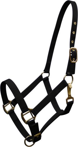 6634H: Horse size Triple ply nylon halter with brass hardware Nylon Halter Showman Saddles and Tack   