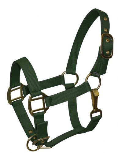 6634P: Pony size nylon halter is constructed of triple ply nylon with brass hardware Nylon Halter Showman Saddles and Tack   