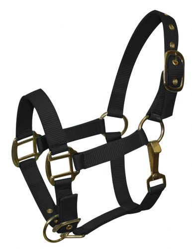 6634P: Pony size nylon halter is constructed of triple ply nylon with brass hardware Nylon Halter Showman Saddles and Tack   