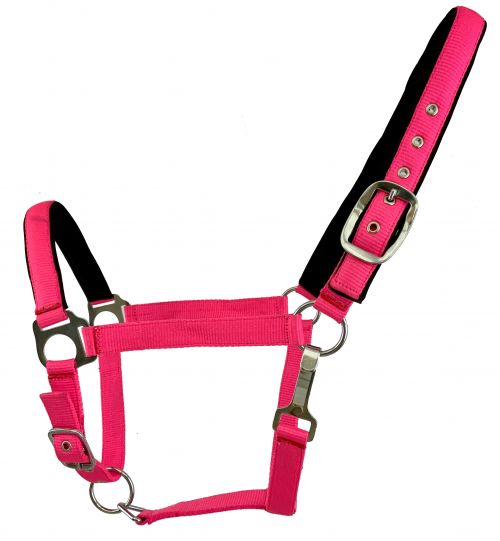 6635X: Average Horse size nylon adjustable nose halter in fluorescent colors Nylon Halter Showman Saddles and Tack   