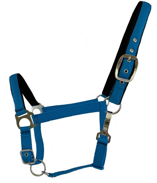6635X: Average Horse size nylon adjustable nose halter in fluorescent colors Nylon Halter Showman Saddles and Tack   