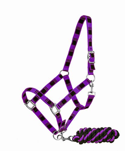6638: 3ply nylon horse halter with polished nickle plated hardware Nylon Halter Showman Saddles and Tack   