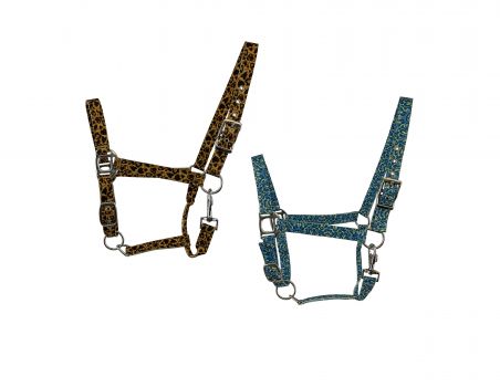 6641: 2ply Nylon Horse Sized Halter with Cheetah printg design Nylon Halter Showman Saddles and Tack   