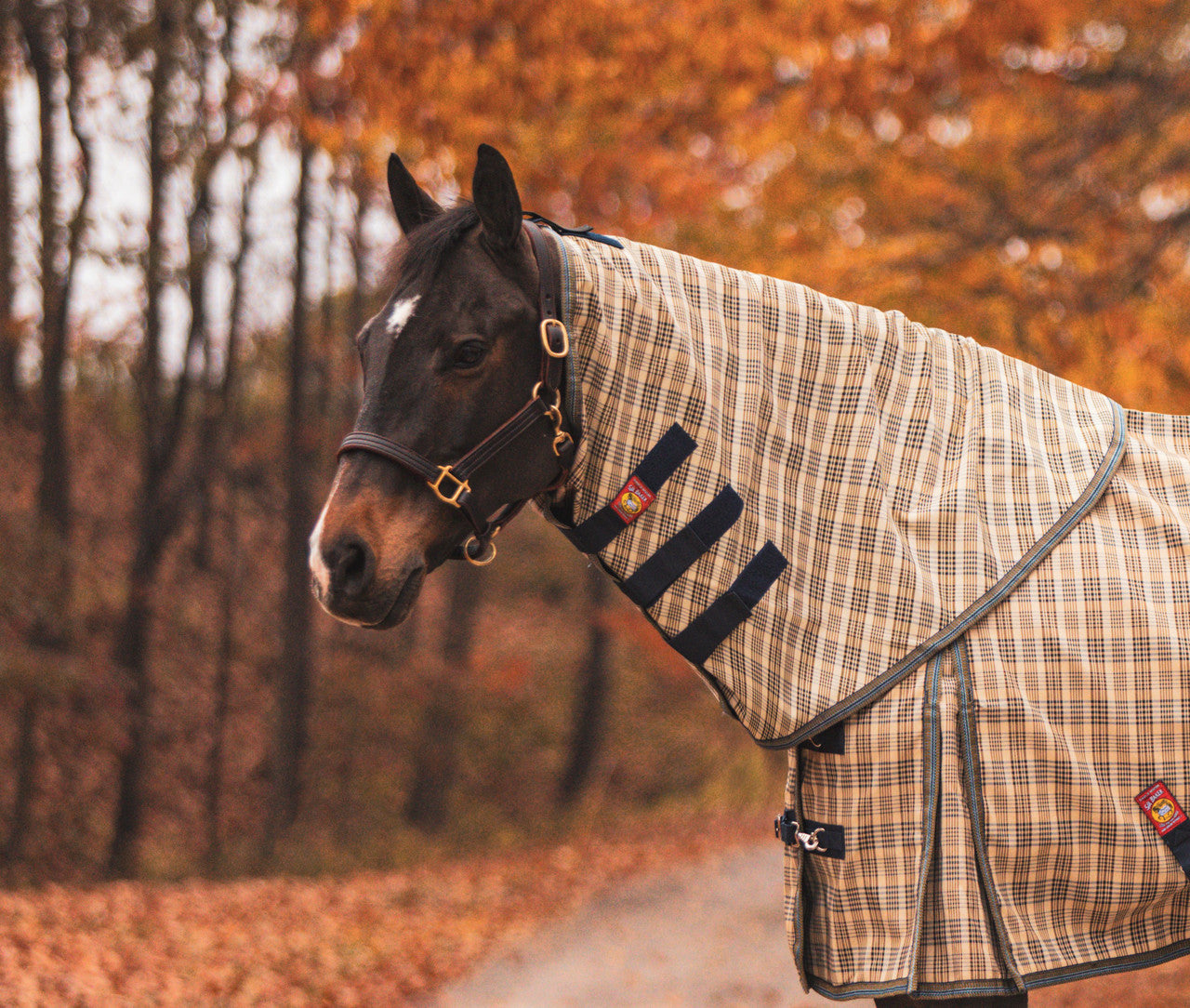 5/A Baker® Neck Cover for Turnout Sheet