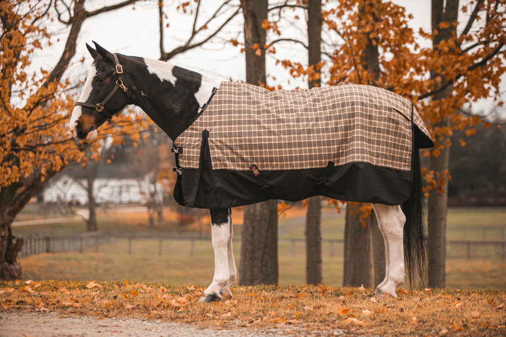 Miniature Horse and Pony Blanket – 5/A Baker Products
