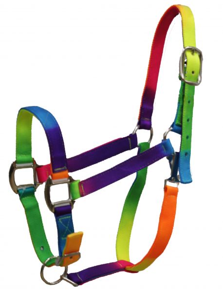 721017-8: Showman ® rainbow colored 3 ply nylon halter with adjustable nose Nylon Halter Showman   
