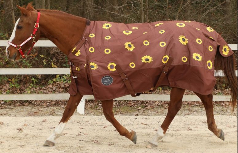 75280: This 1200 denier turnout features a trendy sunflower print Horse Blanket Showman Saddles and Tack   