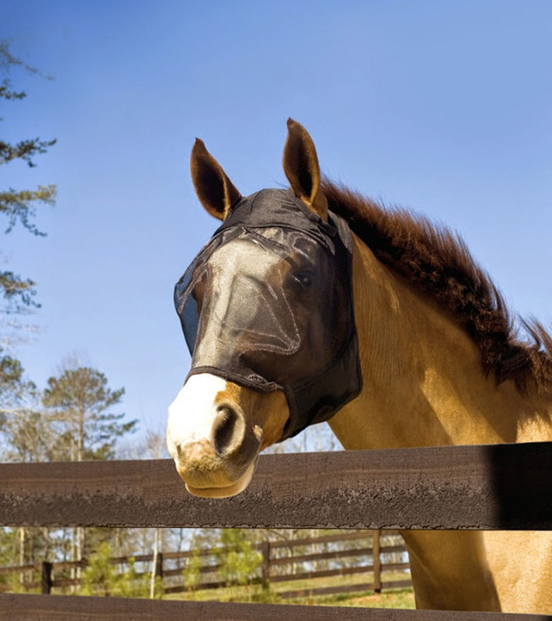 Absorbine UltraShield Fly Mask Without Ears-TexanSaddles.com