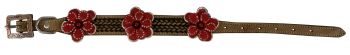 DC-44: Showman Couture ™ Genuine leather dog collar with painted 3D flower accent Primary Showman   