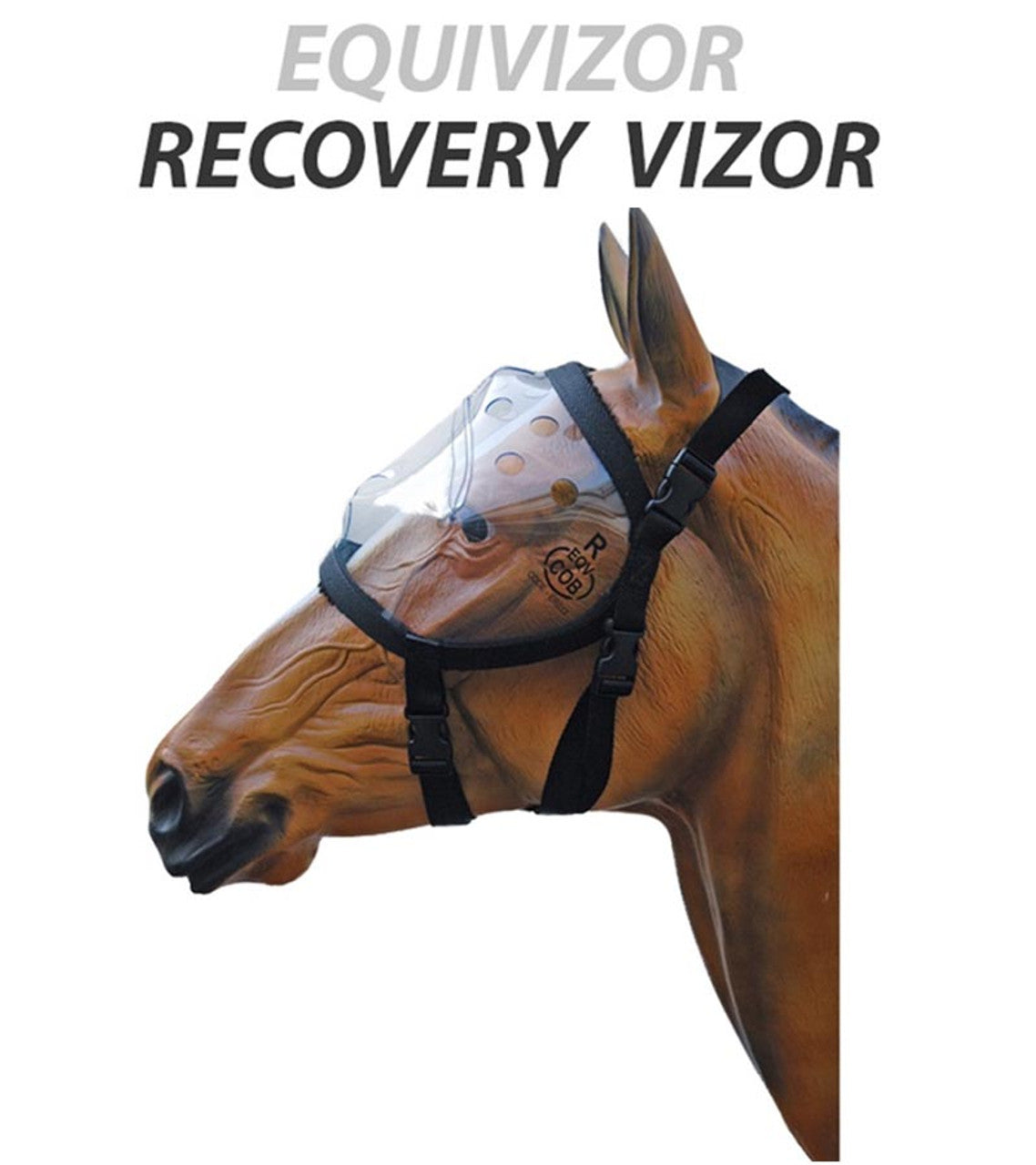 Equivizor Recovery Vizor-TexanSaddles.com