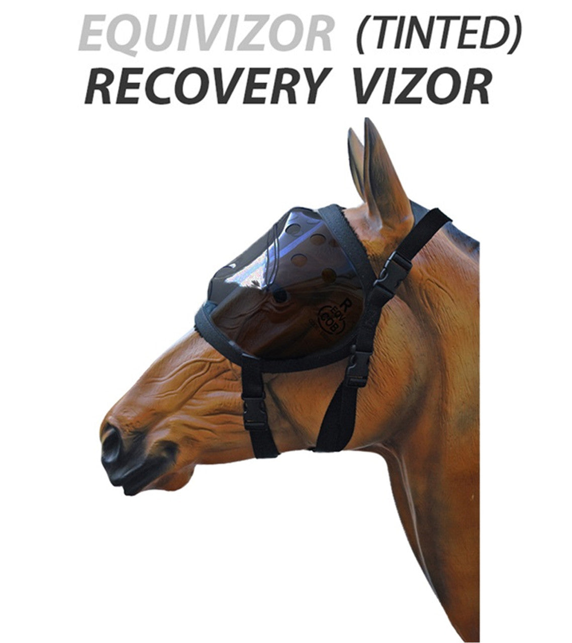 Equivizor Tinted Recovery Vizor-TexanSaddles.com