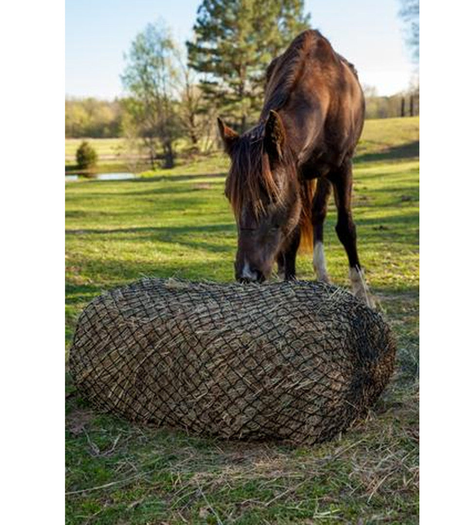 Horse Eating Hay From Texas Haynet Square Bale Hay Net