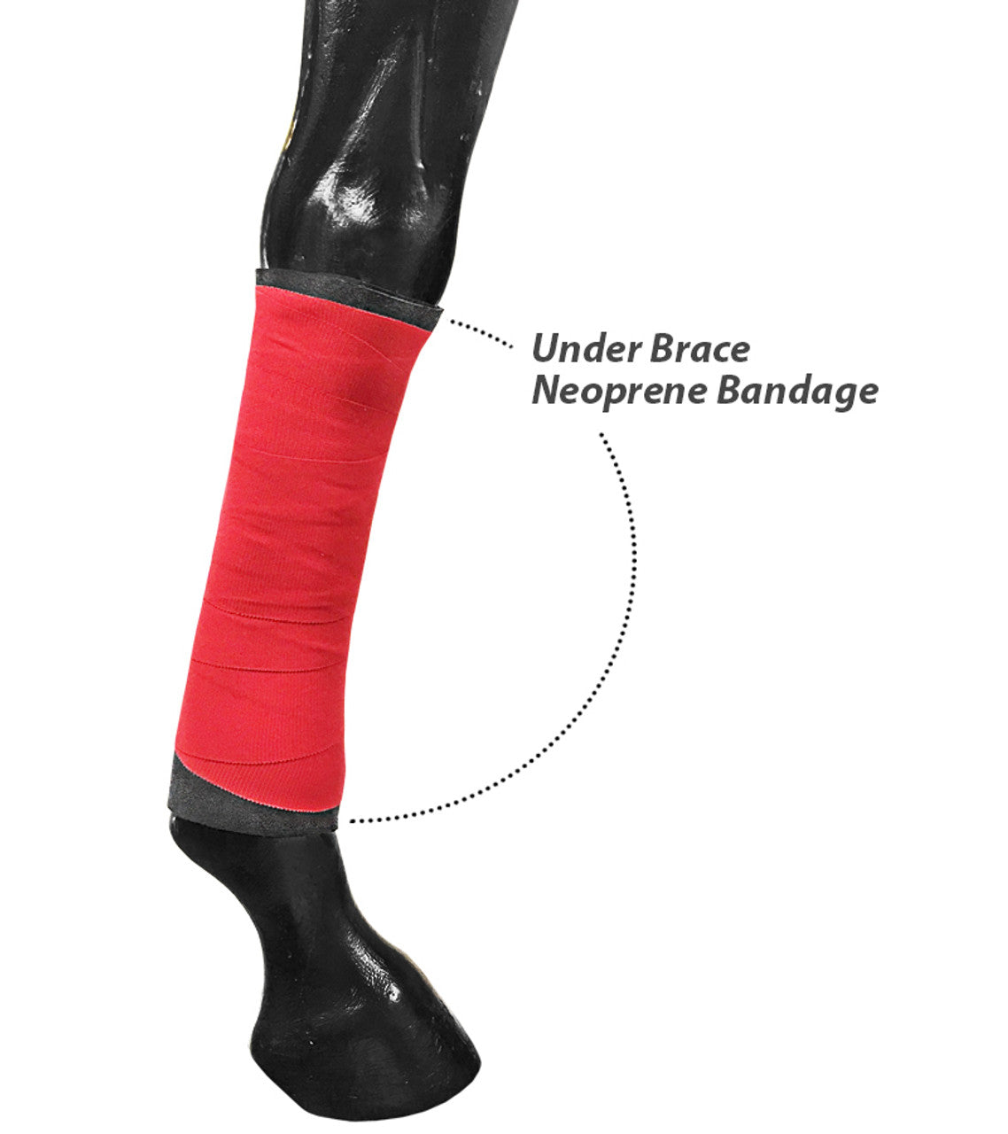 Rubber Brace Leg Wraps 12-1/2" x 16"-TexanSaddles.com
