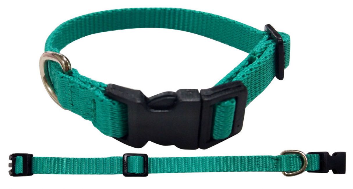 Showman Couture ® Small Nylon dog collar Default Shiloh   