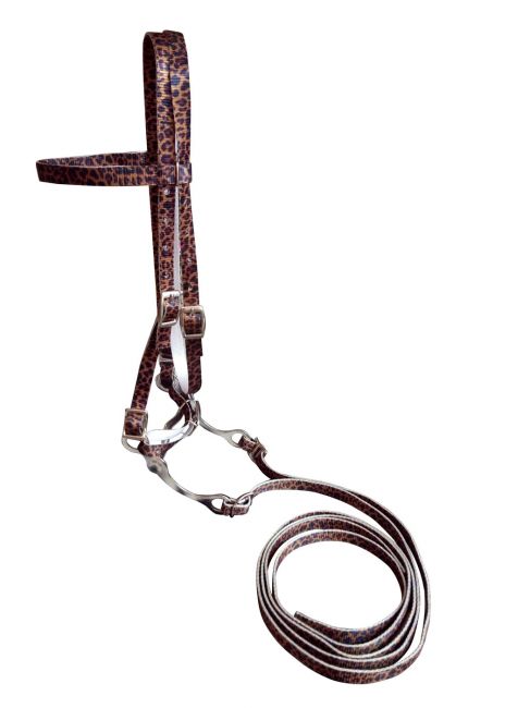 Showman ® Cheeta Nylon Premium combination halter bridle with reins. main image 0