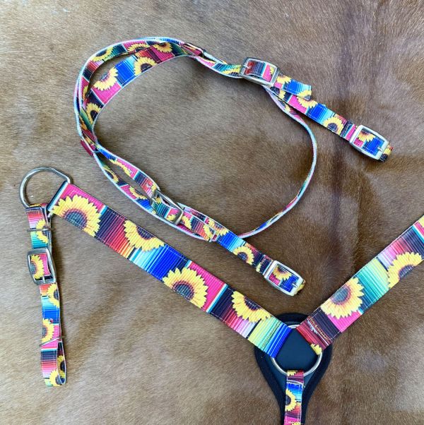 Teal Serape Headstall and Breast Collar Set