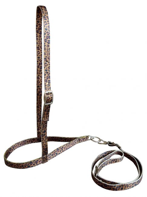 Showman Pony Size Premium Nylon Padded Noseband & Tie Down – Barrel Racing, MPN 16396
